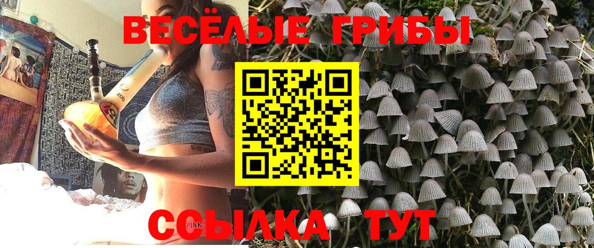 Галлюциногенные грибы Cubensis Елец