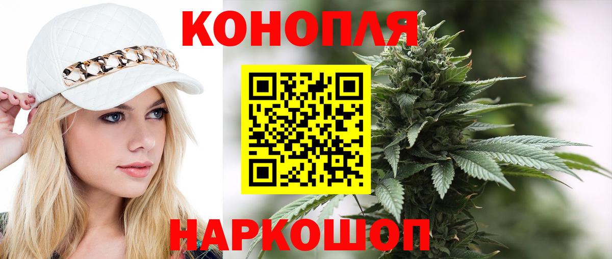 Бошки Шишки планчик  Бошки Шишки сатива  Вход с VPN  Бошки Шишки White Widow  Елец 