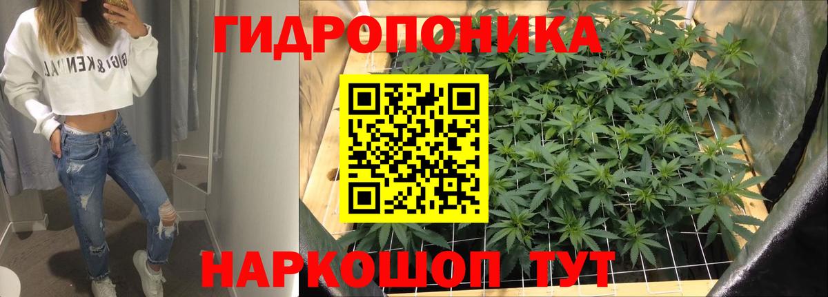МАРИХУАНА SATIVA & INDICA Елец